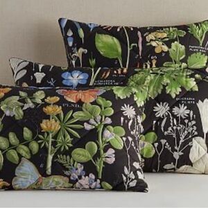 Pottery Barn Poppy Organic Quilted Sham